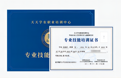 壹号娱乐-com专业技能培训证书