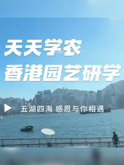 与香港园艺学会联合举办香港园艺研学，专业园境师带队讲解。