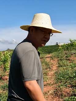 农业人叶涛，50多岁通讯人跨界搞农业，他要用1000万打造一个梦。